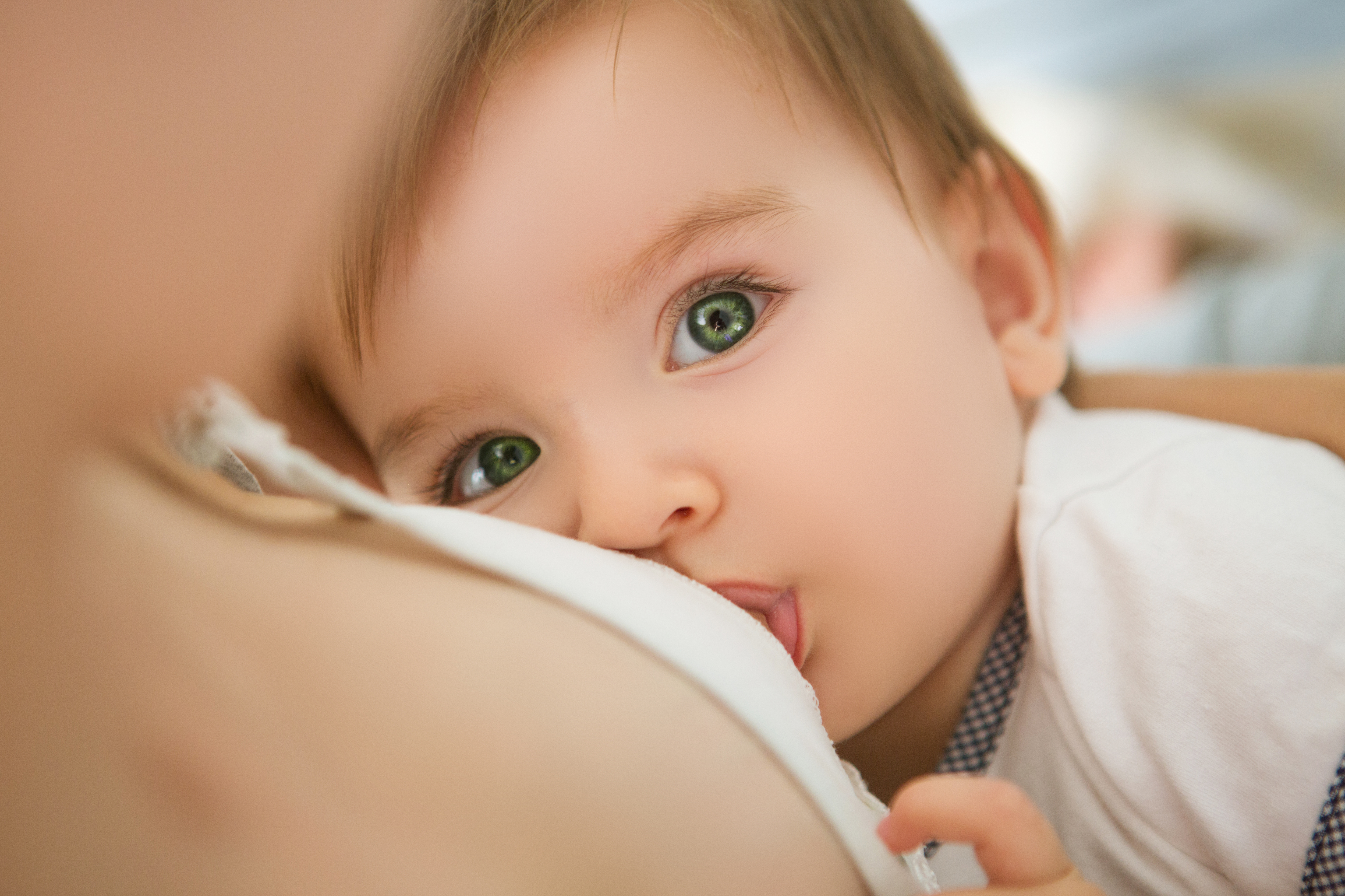 allattamento e alimentazione complementare